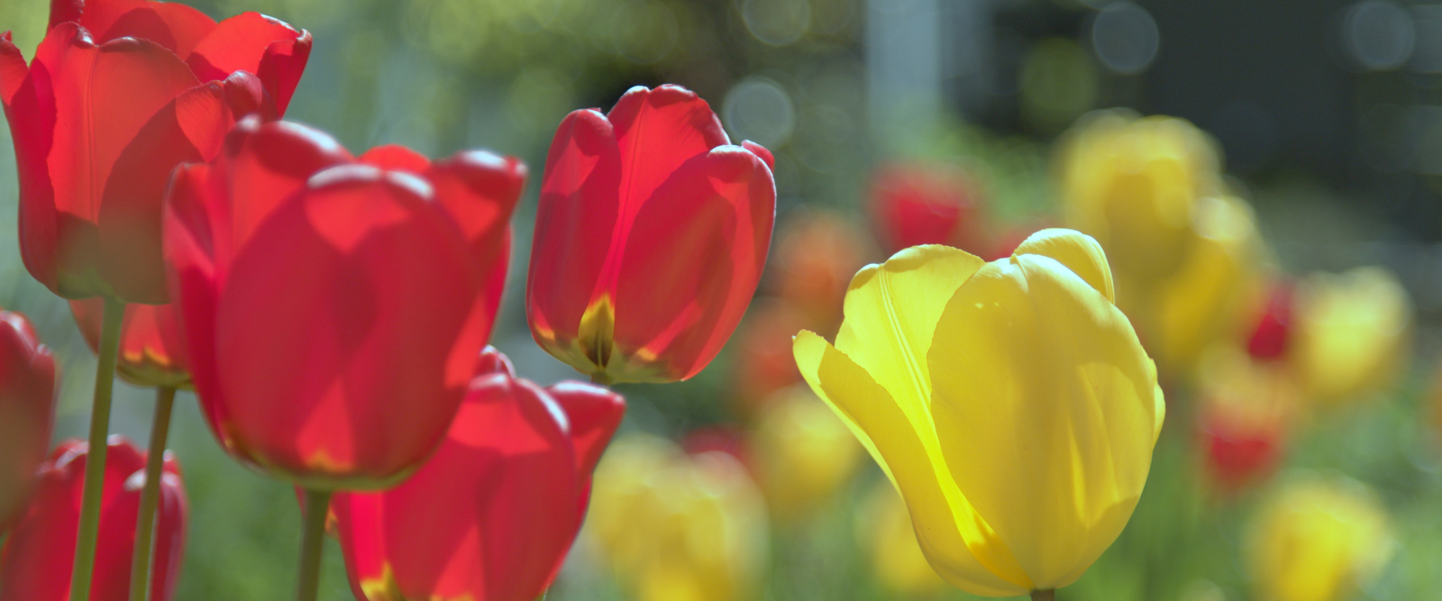 Bild vor dem Color Grading